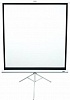 Экран на треноге Elite Screens 152x152см Tripod T85NWS1 1:1 напольный рулонный белый