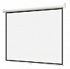 Экран 220x220см Digis Optimal-B DSOB-1105 1:1 настенно-потолочный рулонный