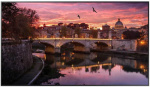 Панель Samsung 75" QB75R черный E-LED BLU LED 8ms 16:9 DVI HDMI M/M матовая 4000:1 350cd 178гр/178гр 3840x2160 RCA Ultra HD USB 38.3кг (RUS)
