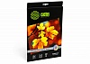Фотобумага Cactus Prof CS-SGA426020 A4 260г м2 20л. белый полуглянцевое для струйной печати