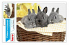 Коврик для мыши Buro BU-M40092 рисунок кролики