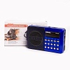 Радиоприемник портативный Сигнал РП-222 синий черный USB microSD
